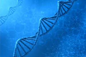 Genetics - Our question contain pedigrees and punnett squares and provide explinations of genetics topics