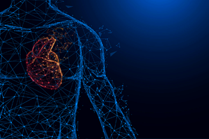 Cardiovascular: ofrecemmos preguntas para familiarizarse con los diagramas para comprender los conceptos fisiológicos.